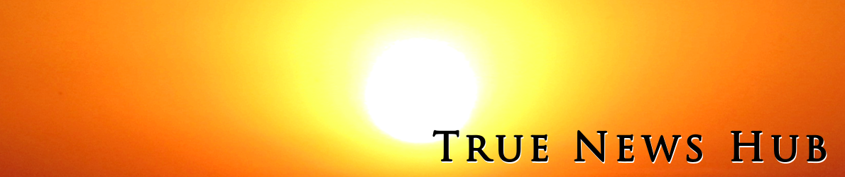 True News Hub